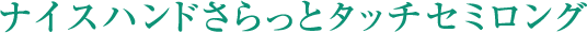 ナイスハンドさらっとタッチセミロング