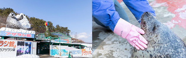 命を育て、繋いでいく。東北から全国へ夢を届けるアニマルトレーナーの仕事