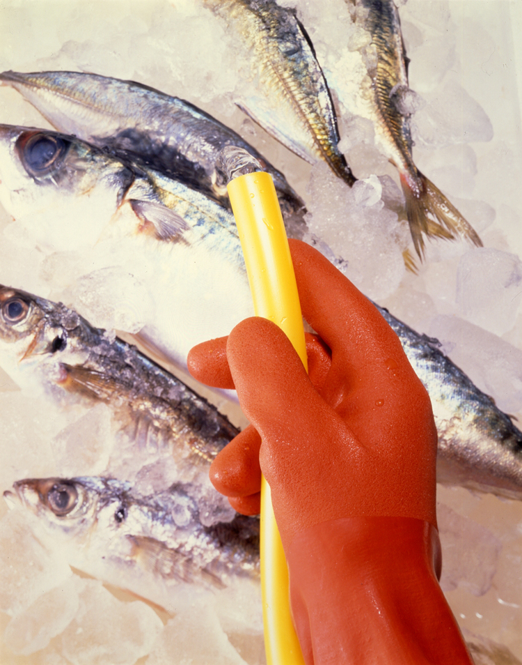 イメージ画像(ニュービニローブ)