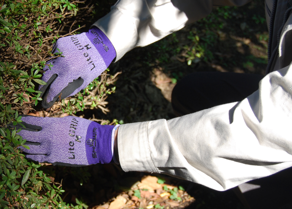 ユース画像(ライトグリップLpup)