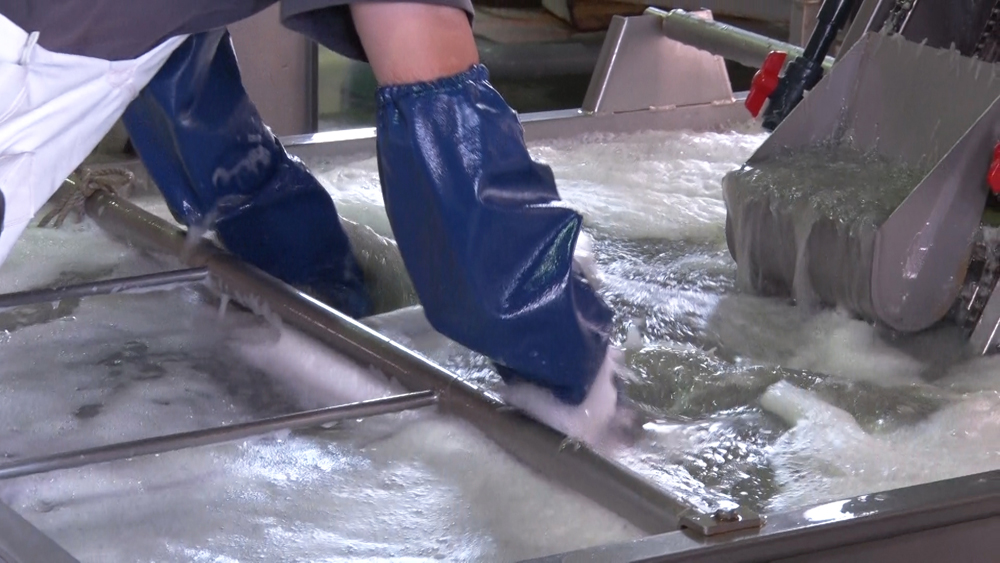 ユース画像(ニトローブTYPE-R65)