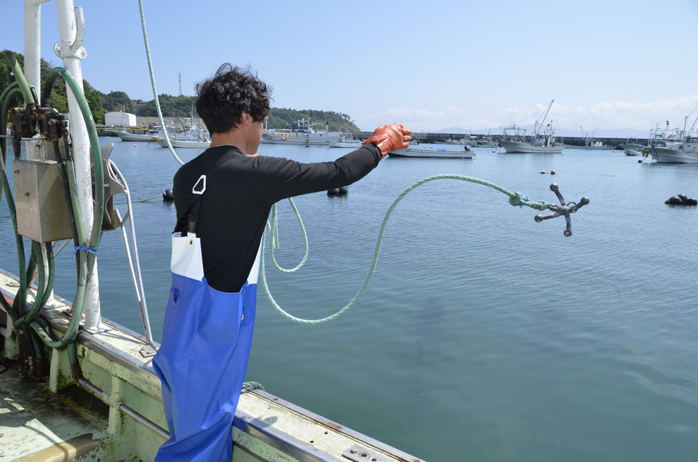 ユース画像(ニュービニローブ)