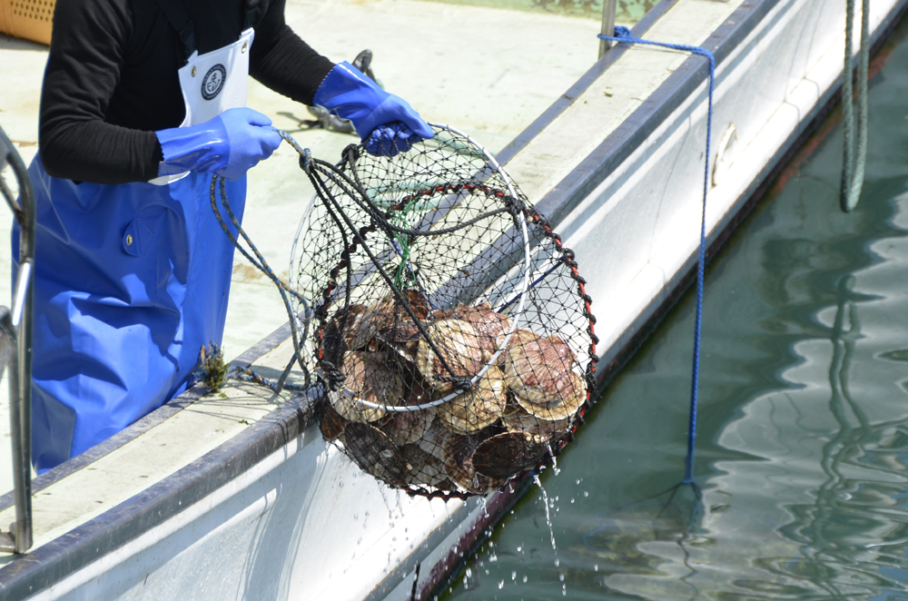 ユース画像(耐油ビニローブ)