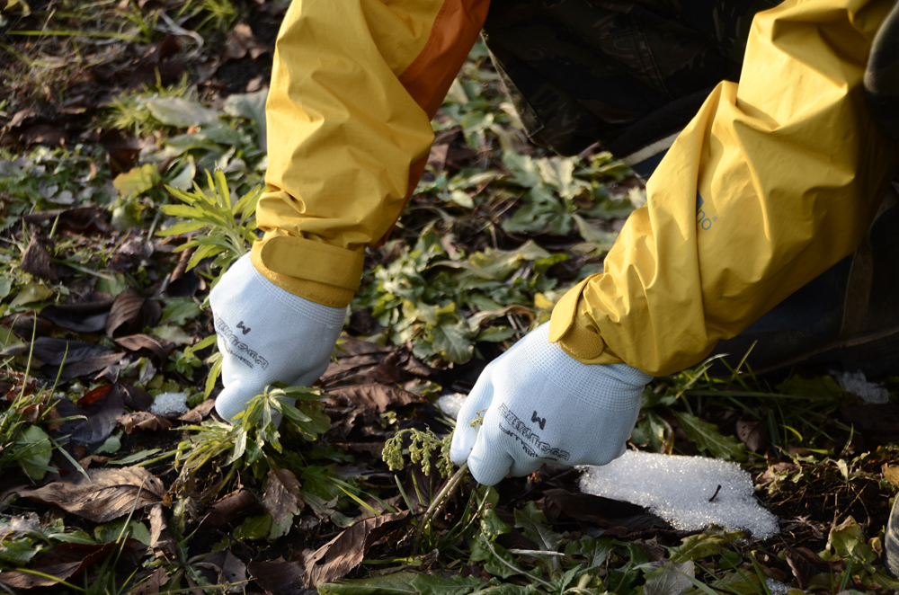 ユース画像(ピッタリ背抜きM)