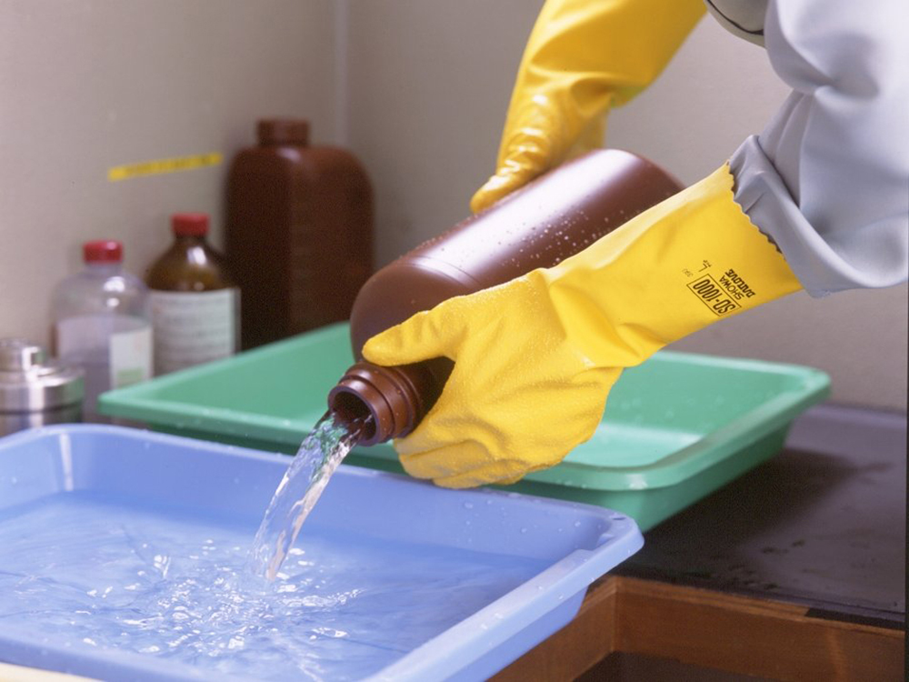 ユース画像(SD-1000)