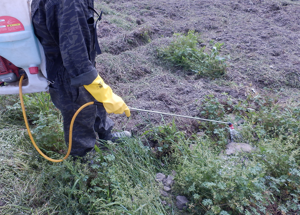 ユース画像(SD-1000)