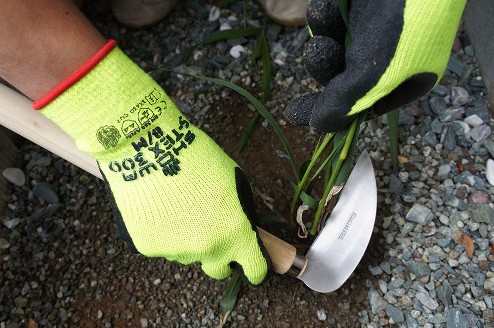 ユース画像(S-TEX 300)