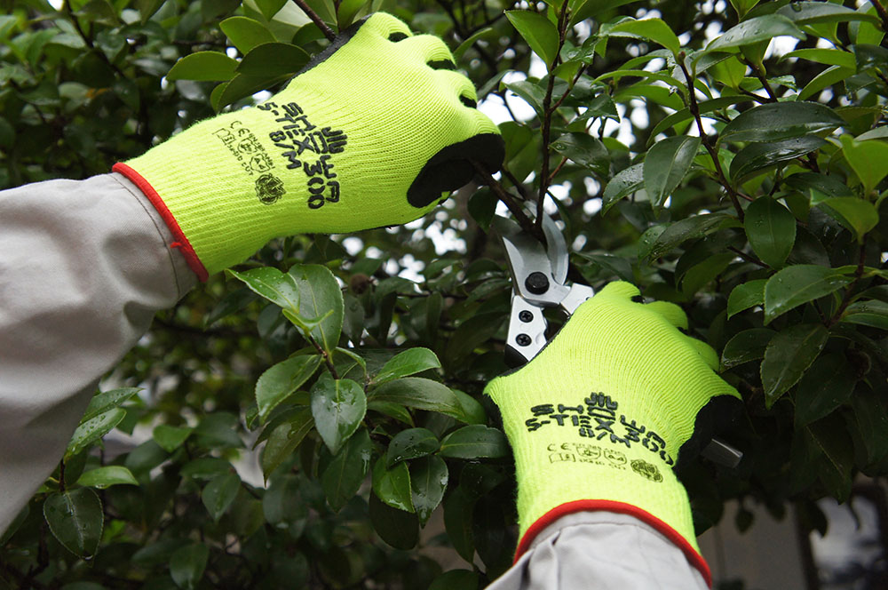 ユース画像(S-TEX 300)