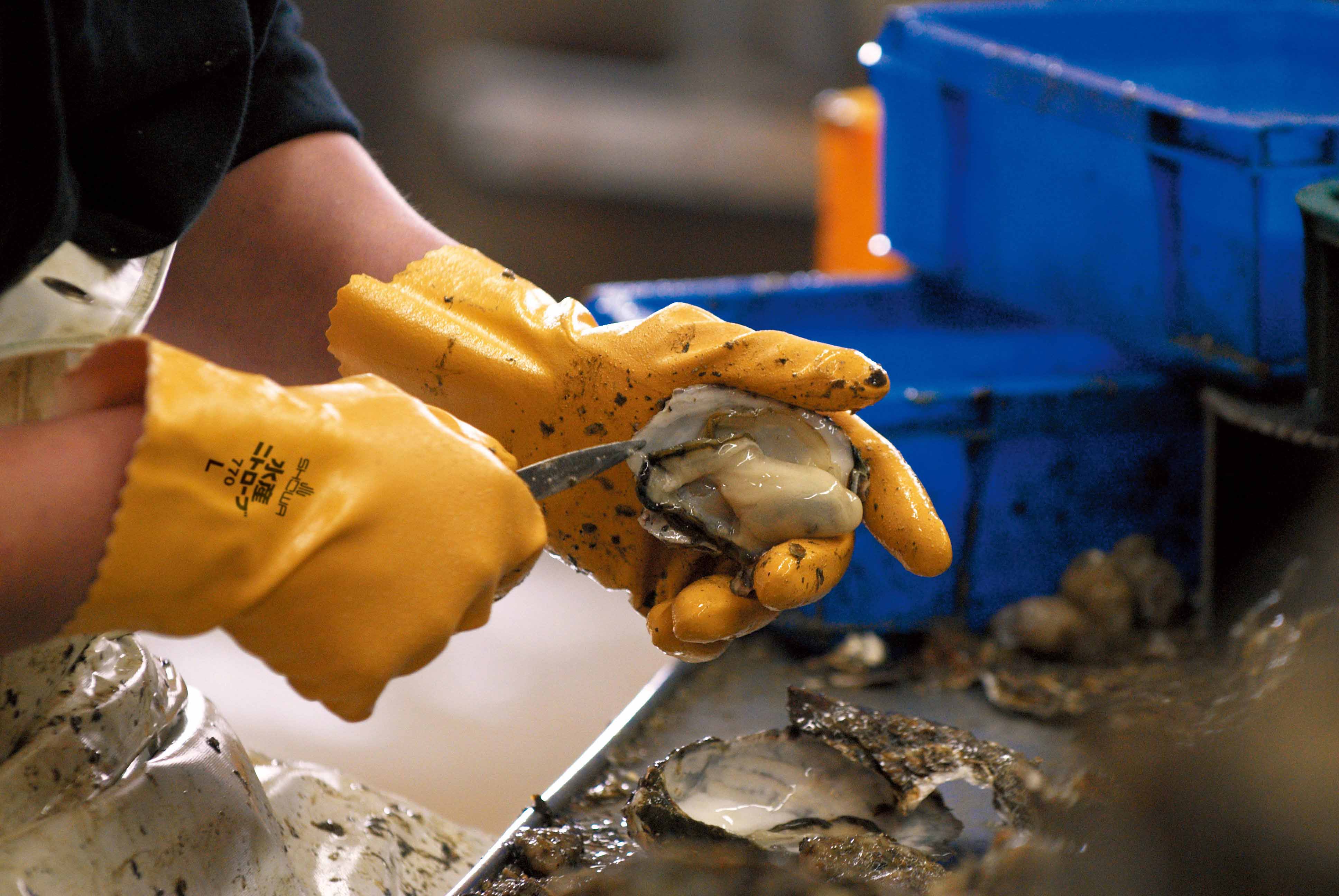 油に強く、丈夫