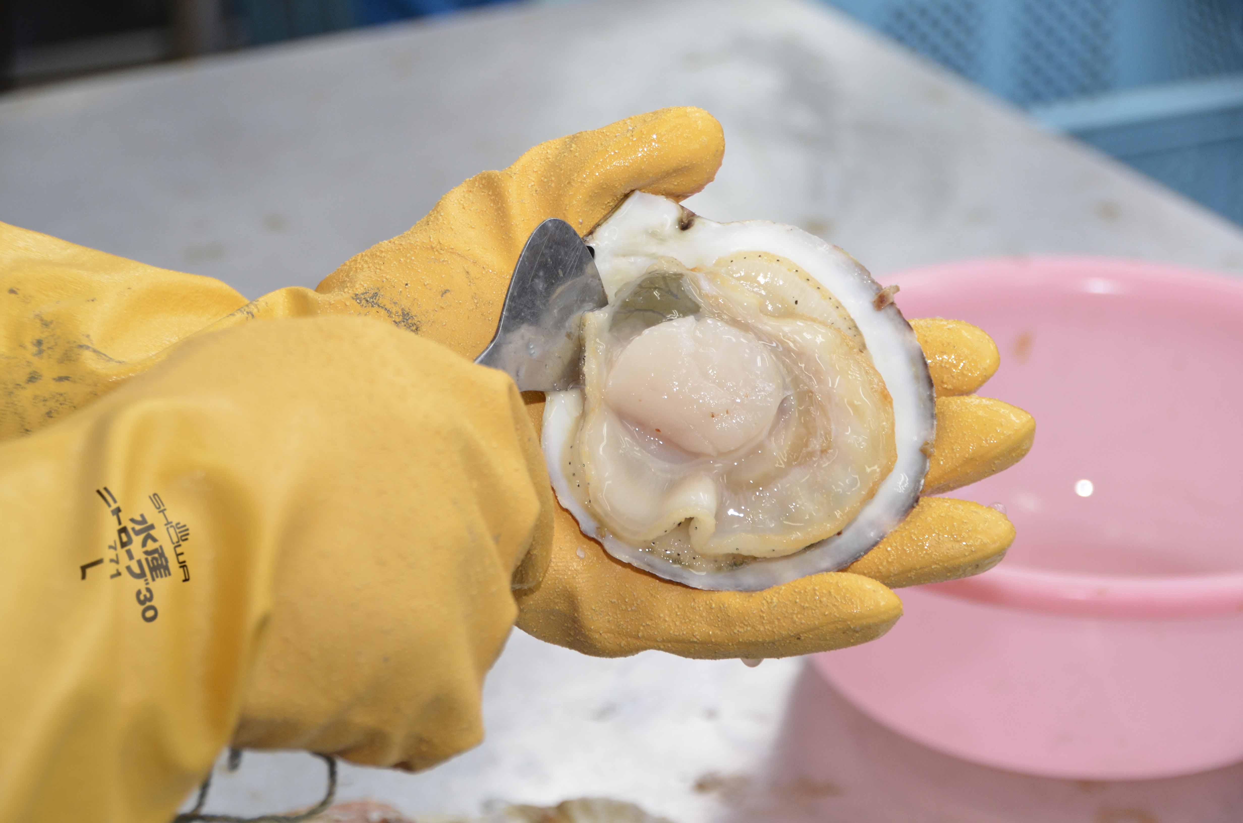 油に強く、丈夫