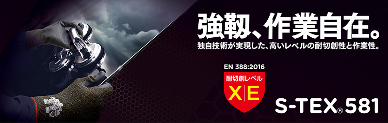 キービジュアル(S-TEX581)