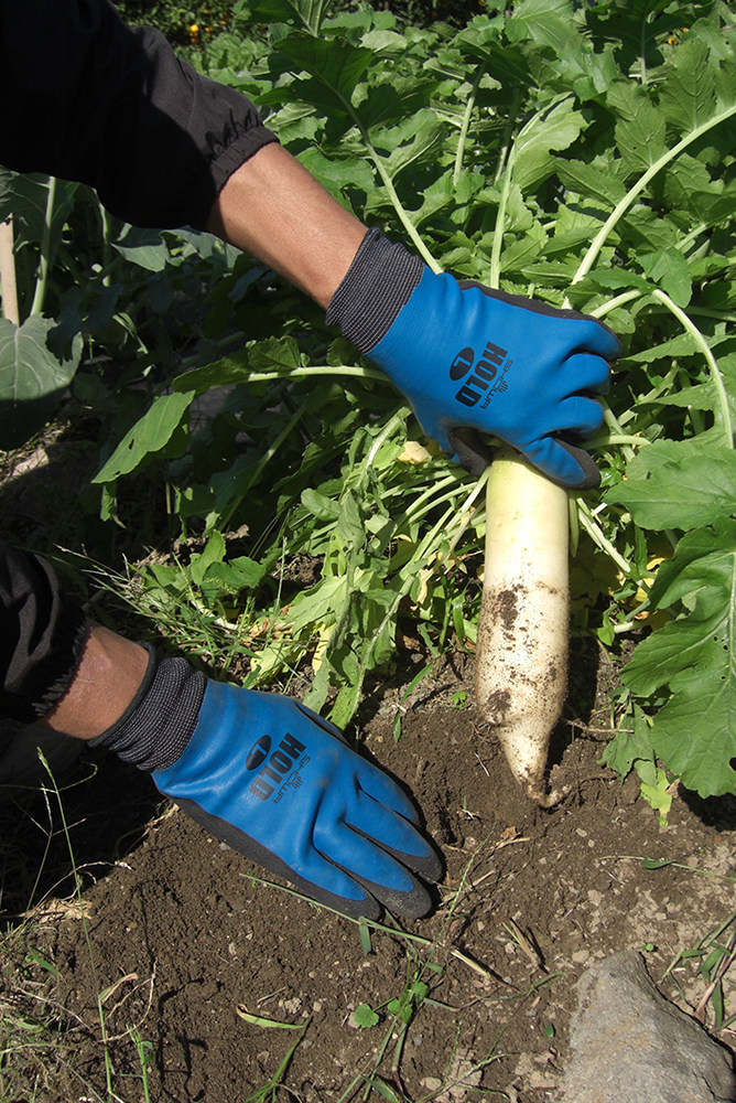 ユース画像(ホールド)