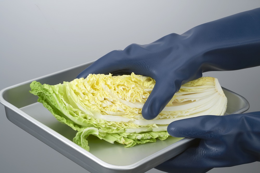 食品衛生法適合