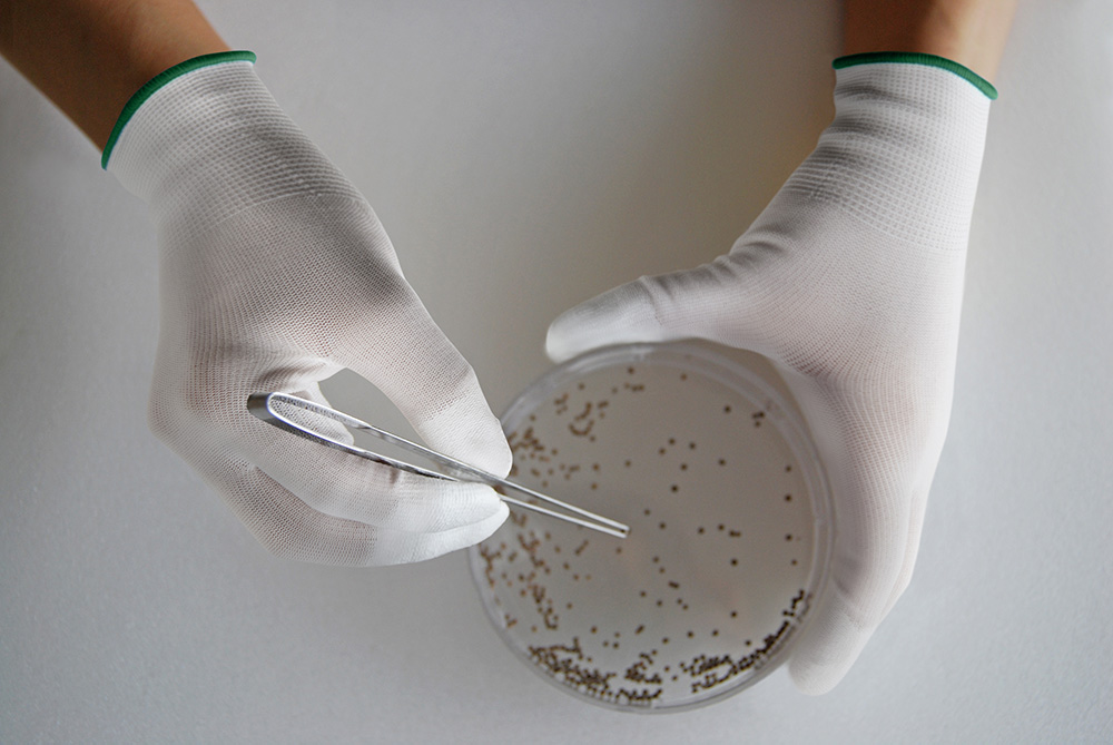 優れたフィット感