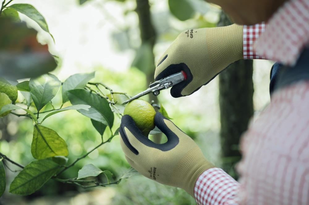 ユース画像(GP340E)