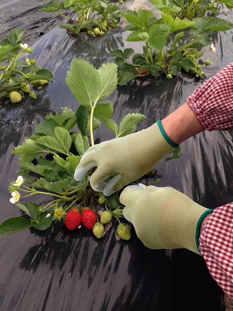 ユース画像(GP500E)