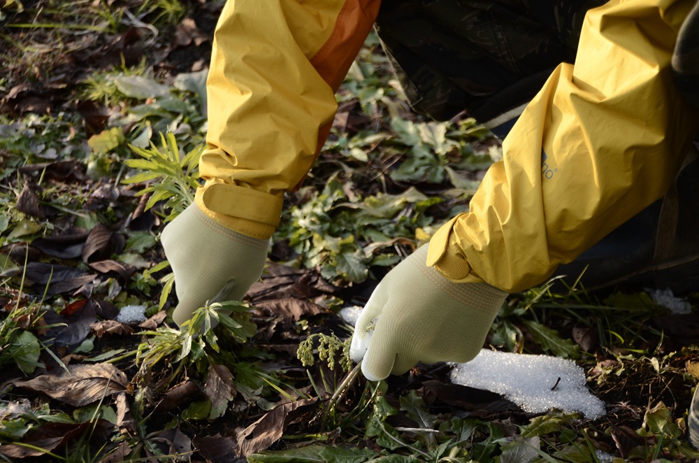 ユース画像(GP500E)