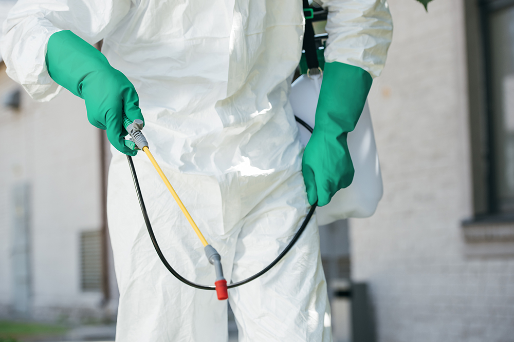 消毒・洗浄作業に