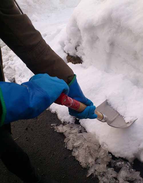 イメージ画像(防寒テムレス)