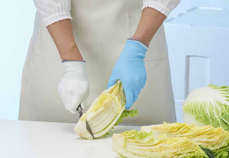 イメージ画像(ケミスターフィット)