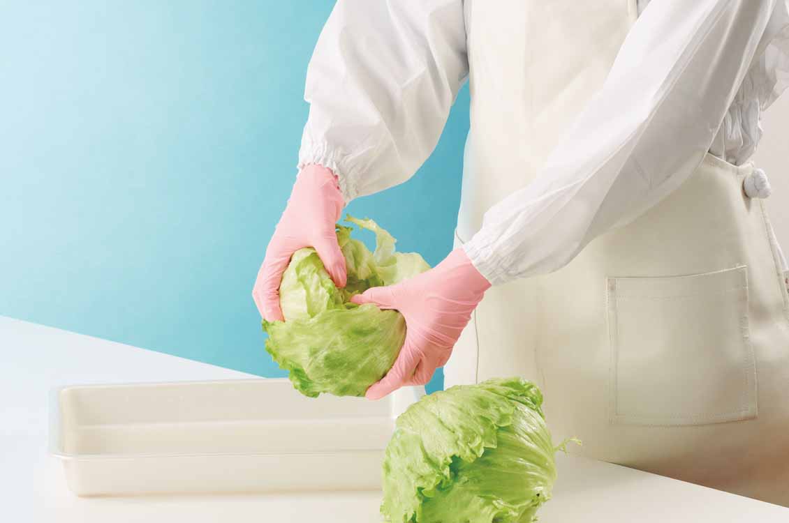 ユース画像(ニトリスト・ピンク、ロゼピンクのつかいきり手袋)