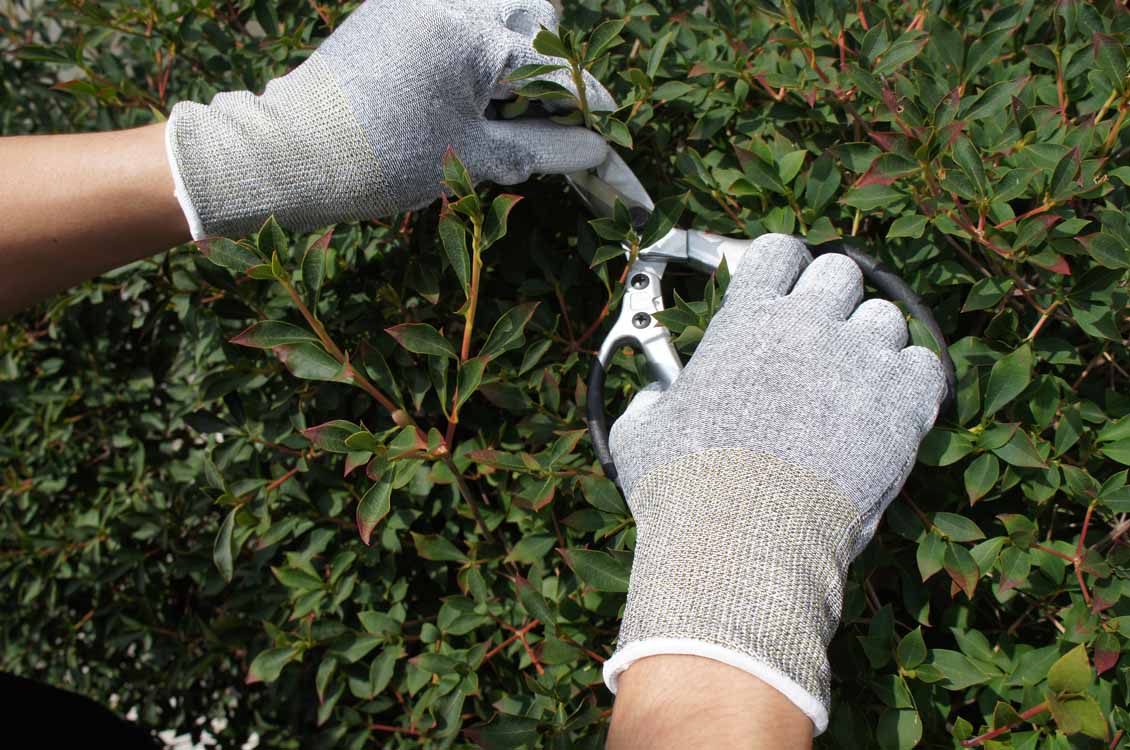 イメージ画像(ケミスターパームFS)