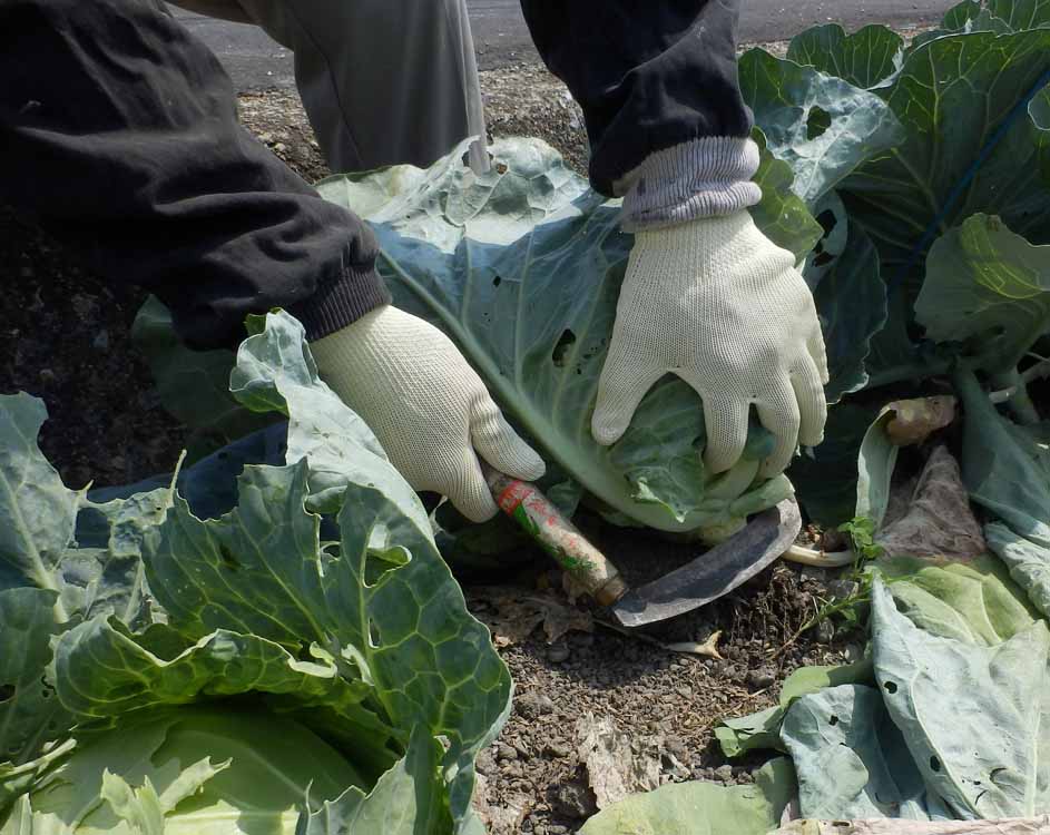 イメージ画像(ケミスターワイヤーフィット)