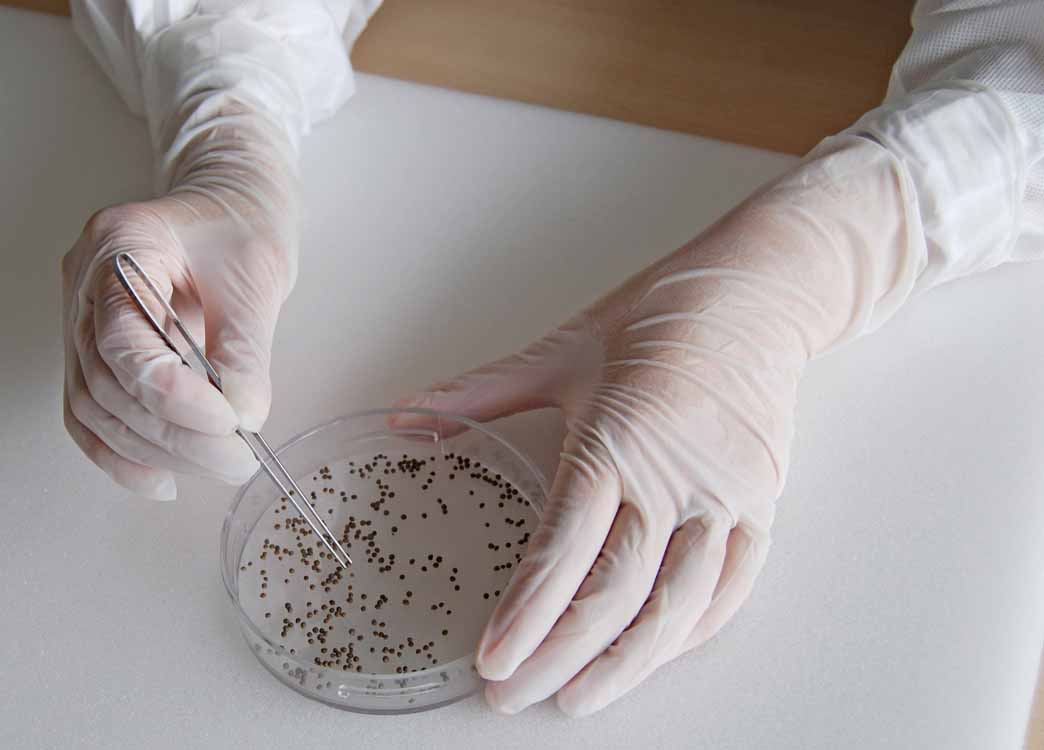 素手感覚で作業ができる