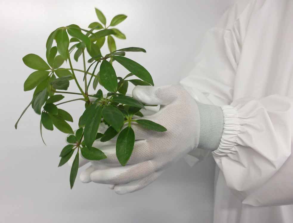 イメージ画像(パームフィット)