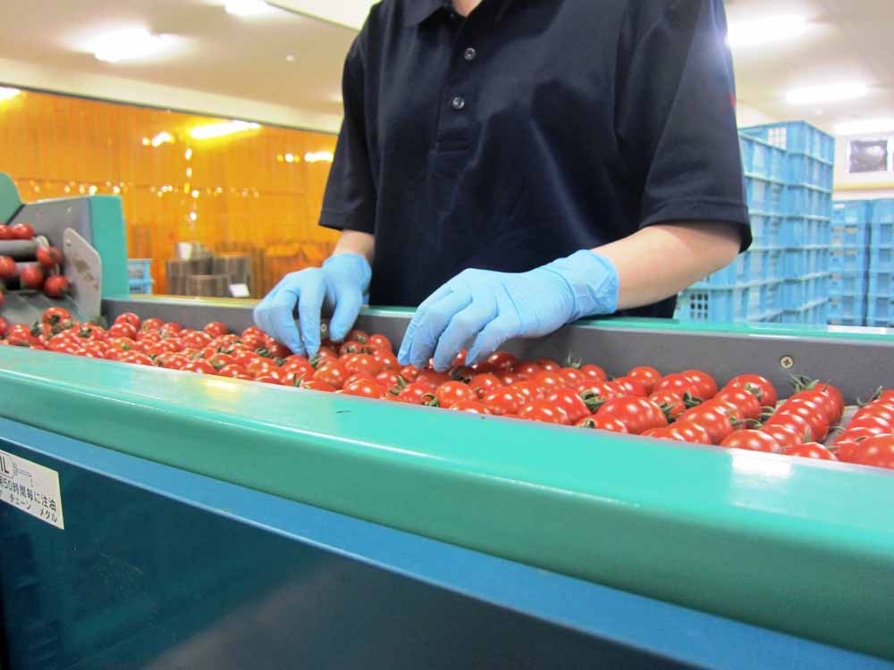 ユース画像(NBRディスポ)