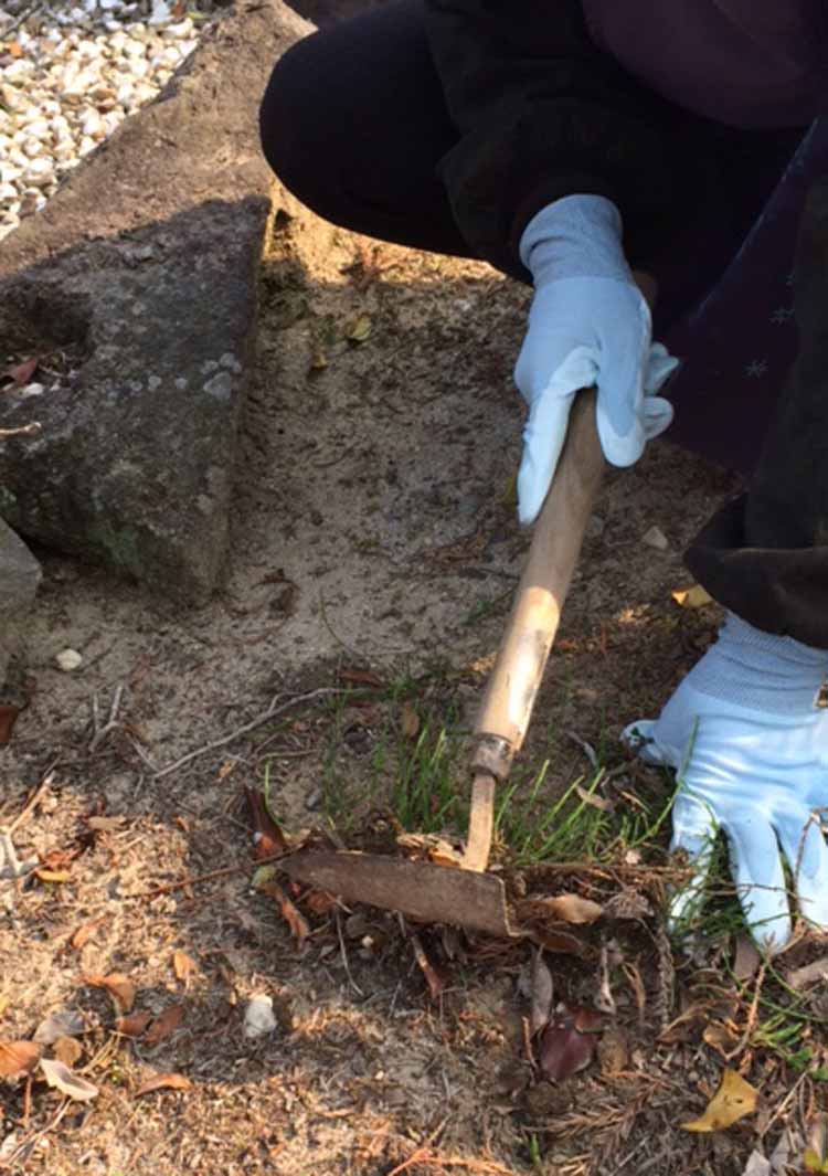 イメージ画像(ピッタリ背抜き強力ロング)