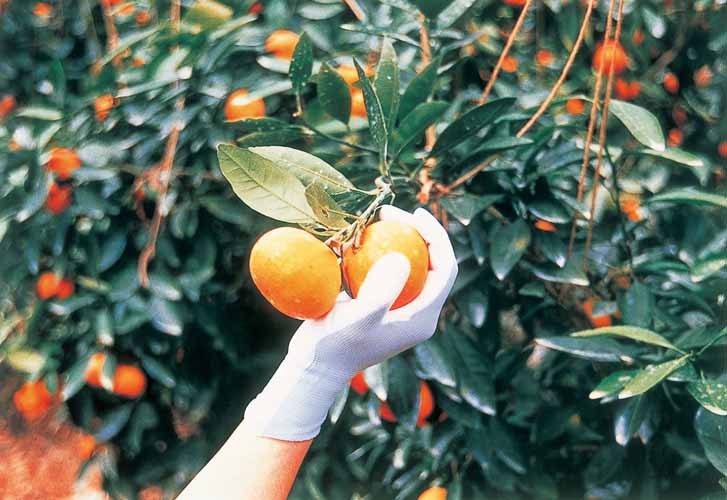 手首の露出を防ぐ